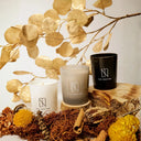 Bougie Zen - Level Twenty Nine