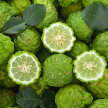Bergamot